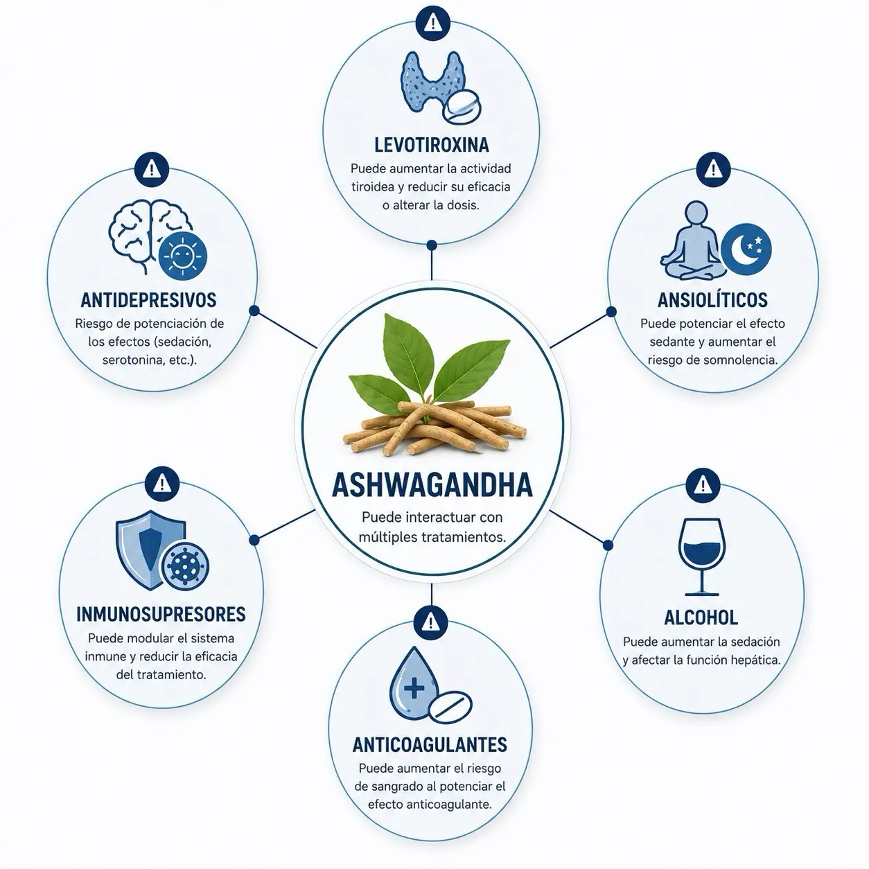 Diagrama central de ashwagandha con levotiroxina, antidepresivos, ansioliticos, inmunosupresores, alcohol y anticoagulantes
