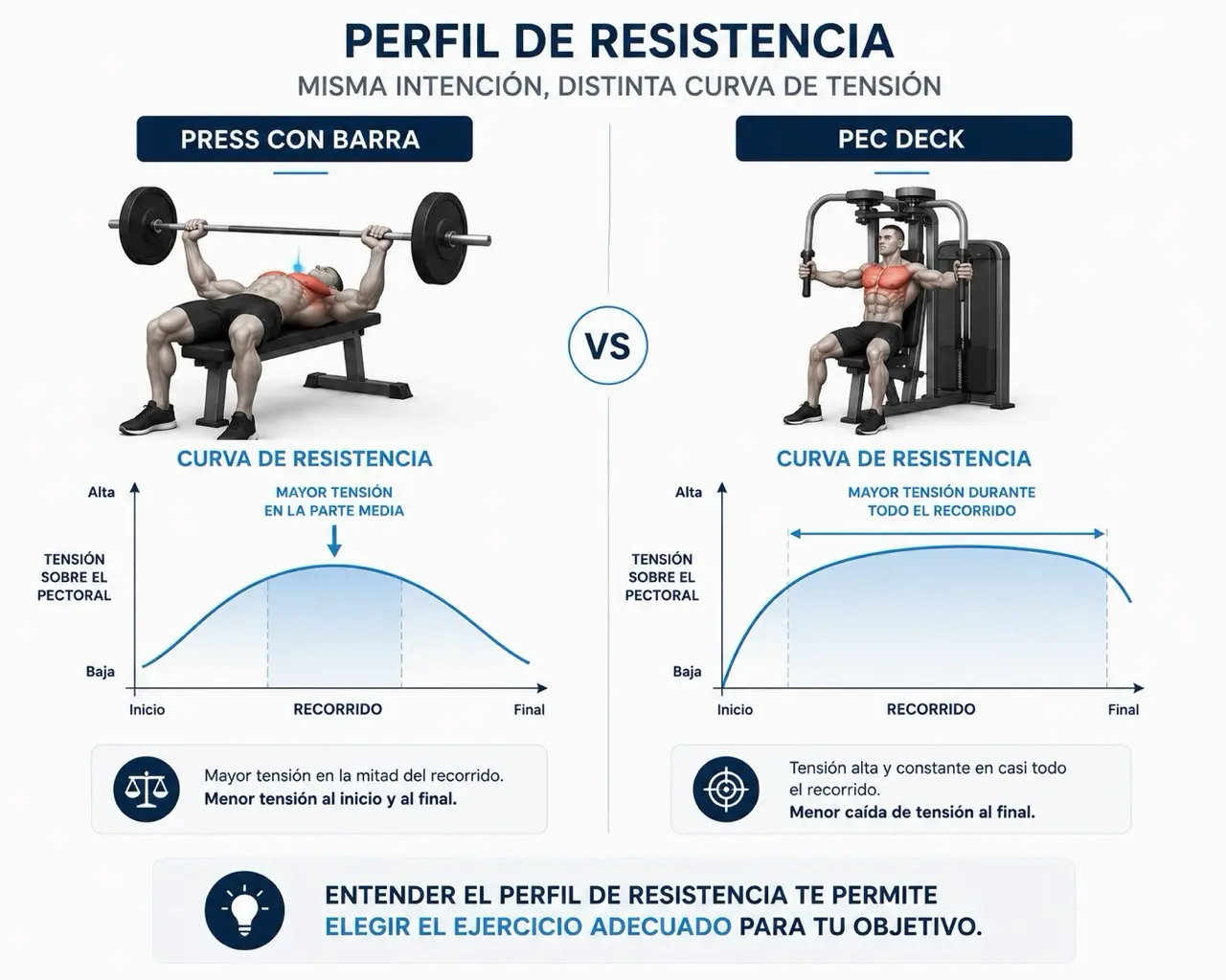 Comparativa editorial del perfil de resistencia entre press con barra y pec deck con curvas simples y zonas de mayor tension