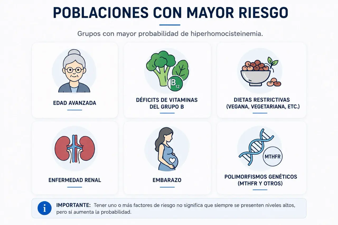 Infografia de iconos de poblaciones con mayor riesgo de hiperhomocisteinemia: edad, deficit vitaminico, dietas restrictivas, riñon, embarazo y MTHFR