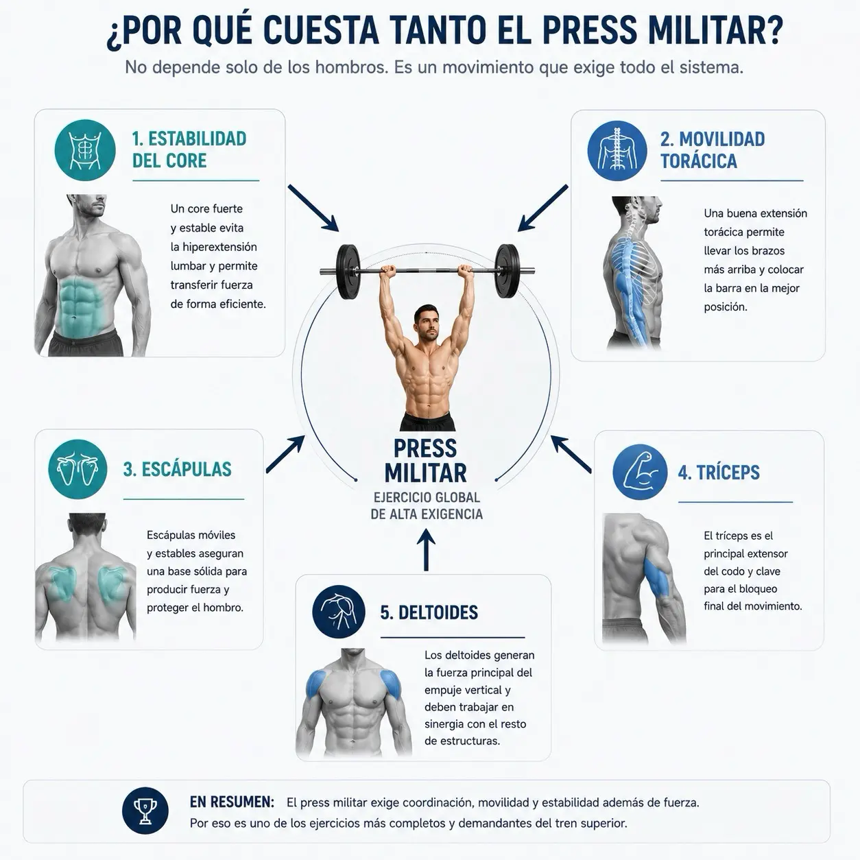 Diagrama de factores del press militar con barra con estabilidad del core, movilidad toracica, escapulas, triceps y deltoides conectados