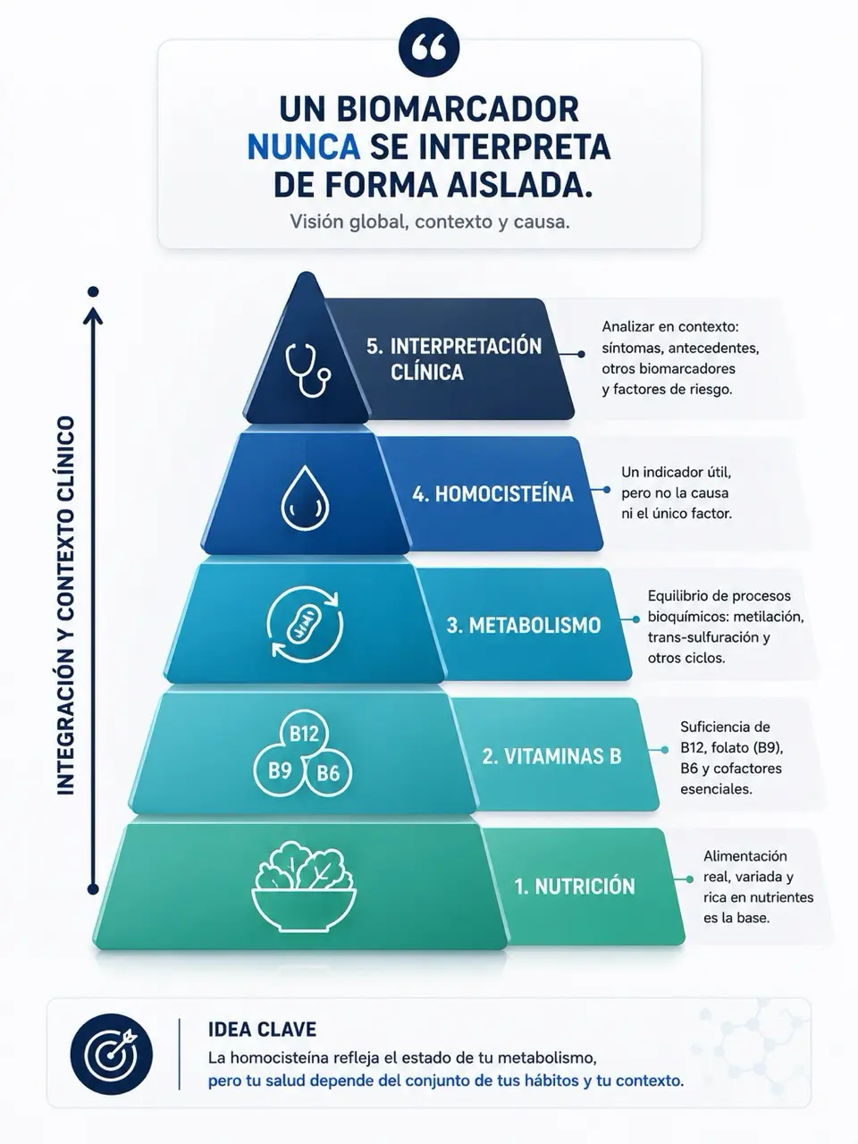 Piramide de prioridades con nutricion, vitaminas B, metabolismo, homocisteina e interpretacion clinica mostrando que un biomarcador no se interpreta aislado