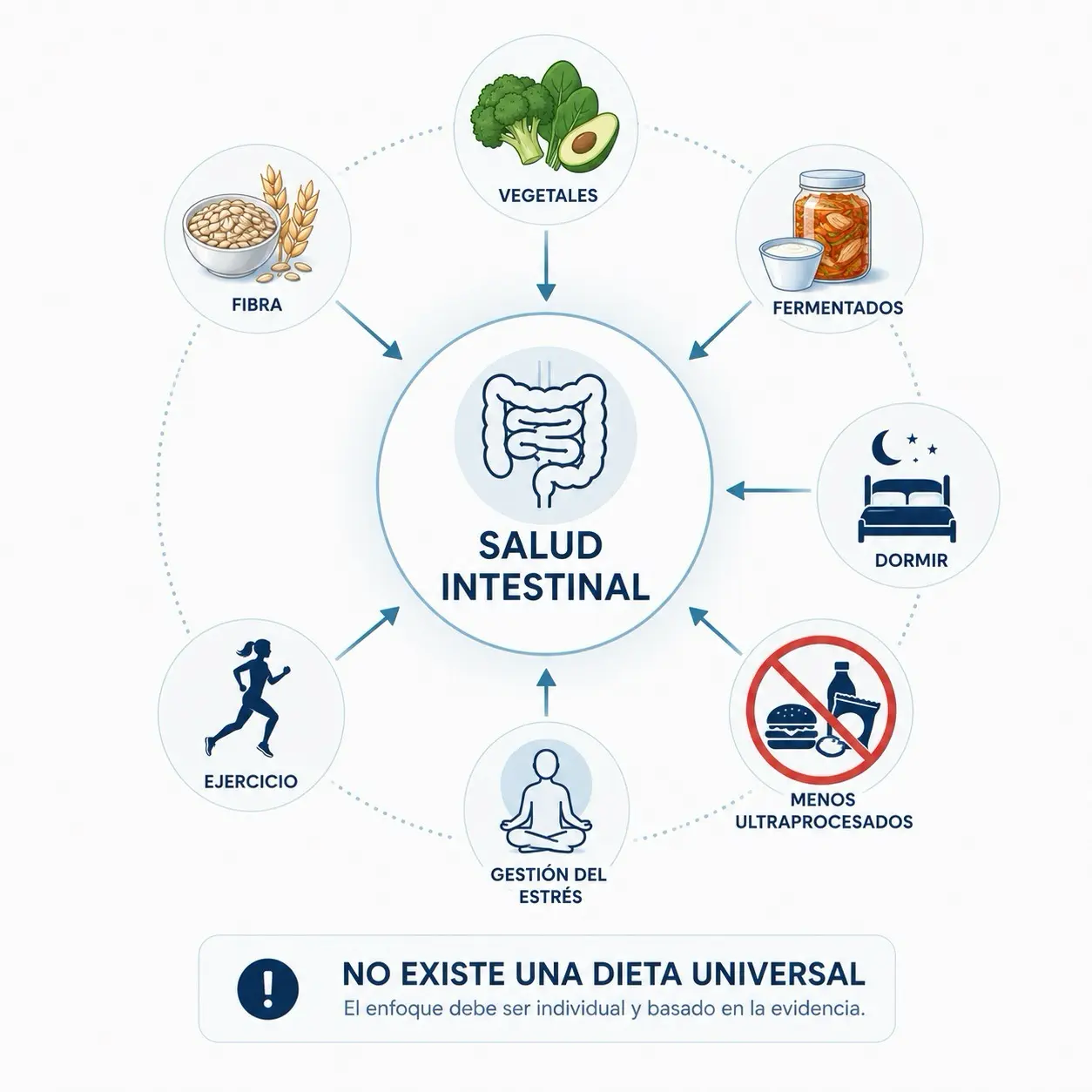 Infografia minimalista con salud intestinal en el centro y fibra, vegetales, fermentados, sueño, menos ultraprocesados, ejercicio y gestion del estres alrededor