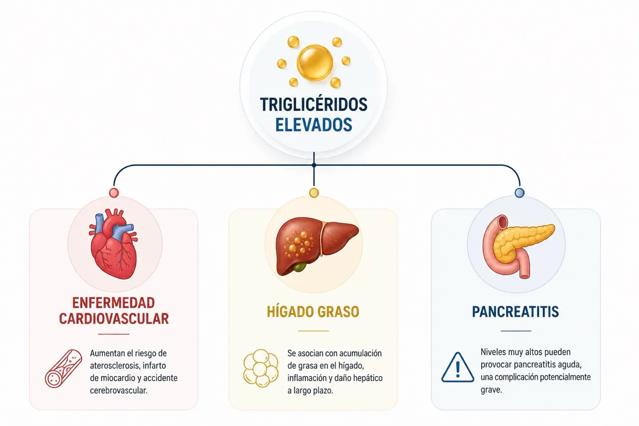 Infografía sobre los riesgos de los triglicéridos elevados enfermedad cardiovascular hígado graso y pancreatitis