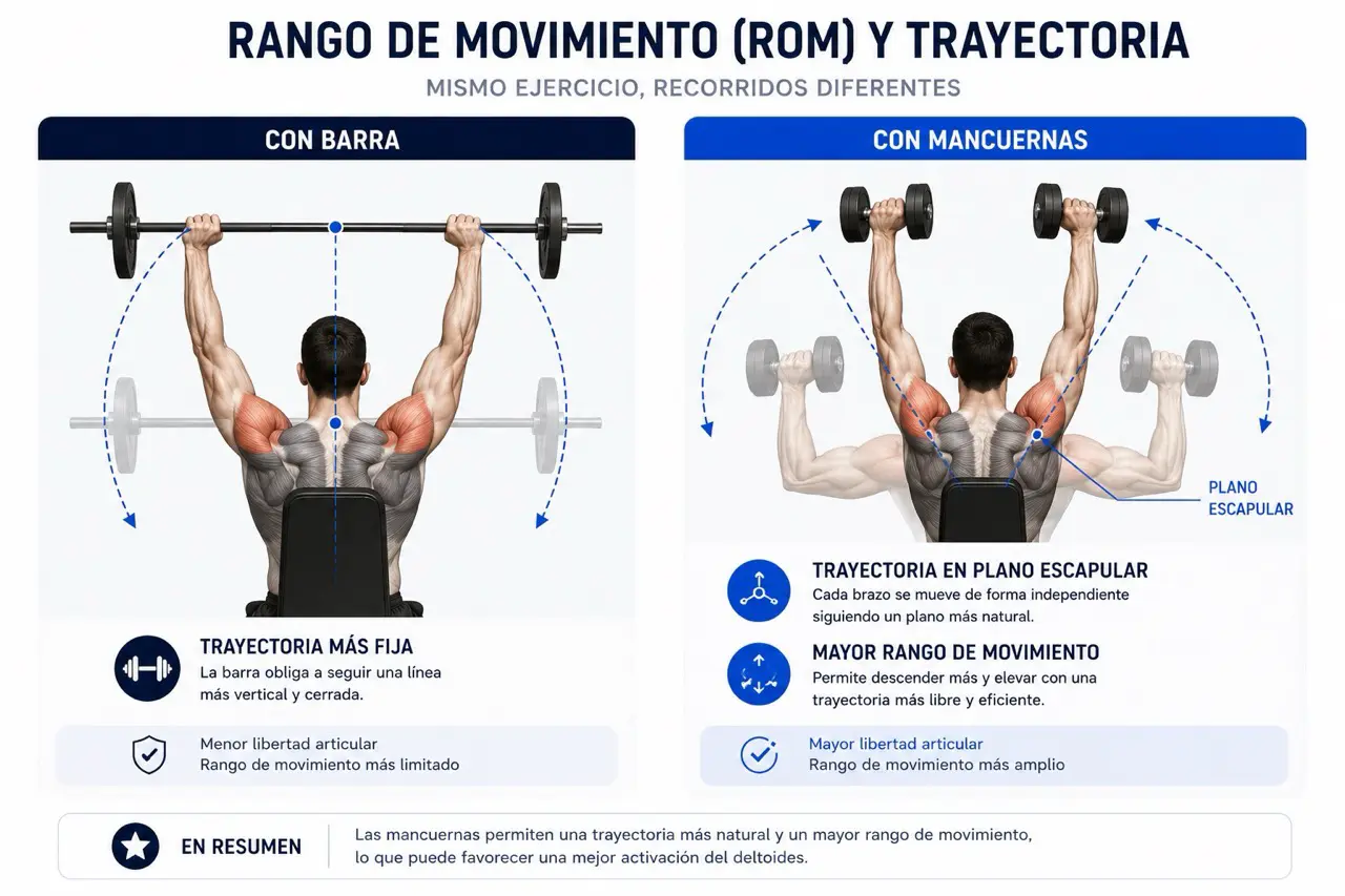 Comparativa anatomica de press militar con barra y mancuernas mostrando trayectoria fija, plano escapular y mayor rango de movimiento