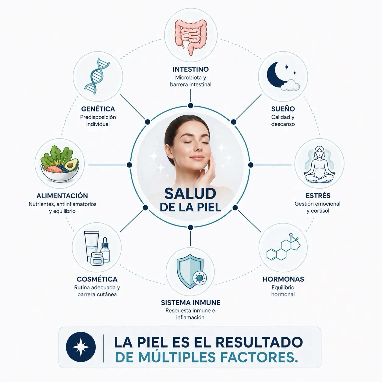 Diagrama de equilibrio de la salud de la piel conectada con intestino, sueño, estres, hormonas, genetica, cosmetica, alimentacion y sistema inmune