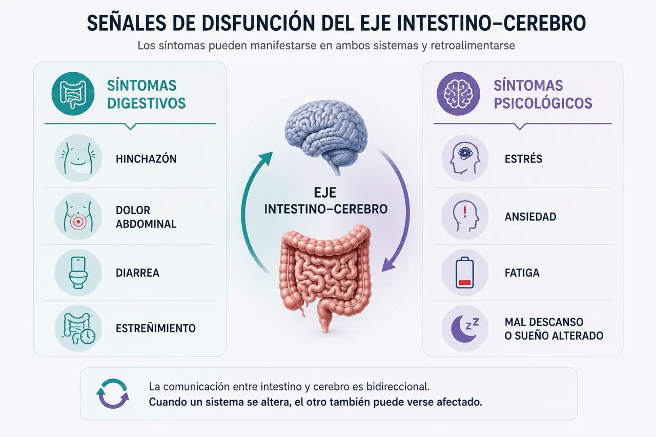 Comparativa de sintomas digestivos y psicologicos en disfuncion del eje intestino-cerebro con flechas bidireccionales