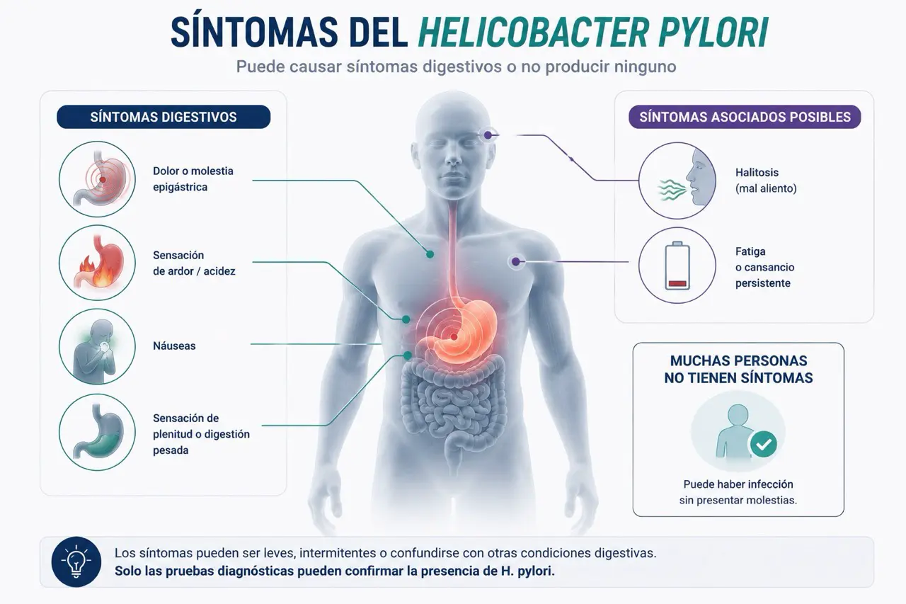 Mapa corporal de sintomas asociados a Helicobacter pylori con dolor epigastrico, nauseas, acidez, plenitud, halitosis, fatiga y posibilidad de ausencia de sintomas