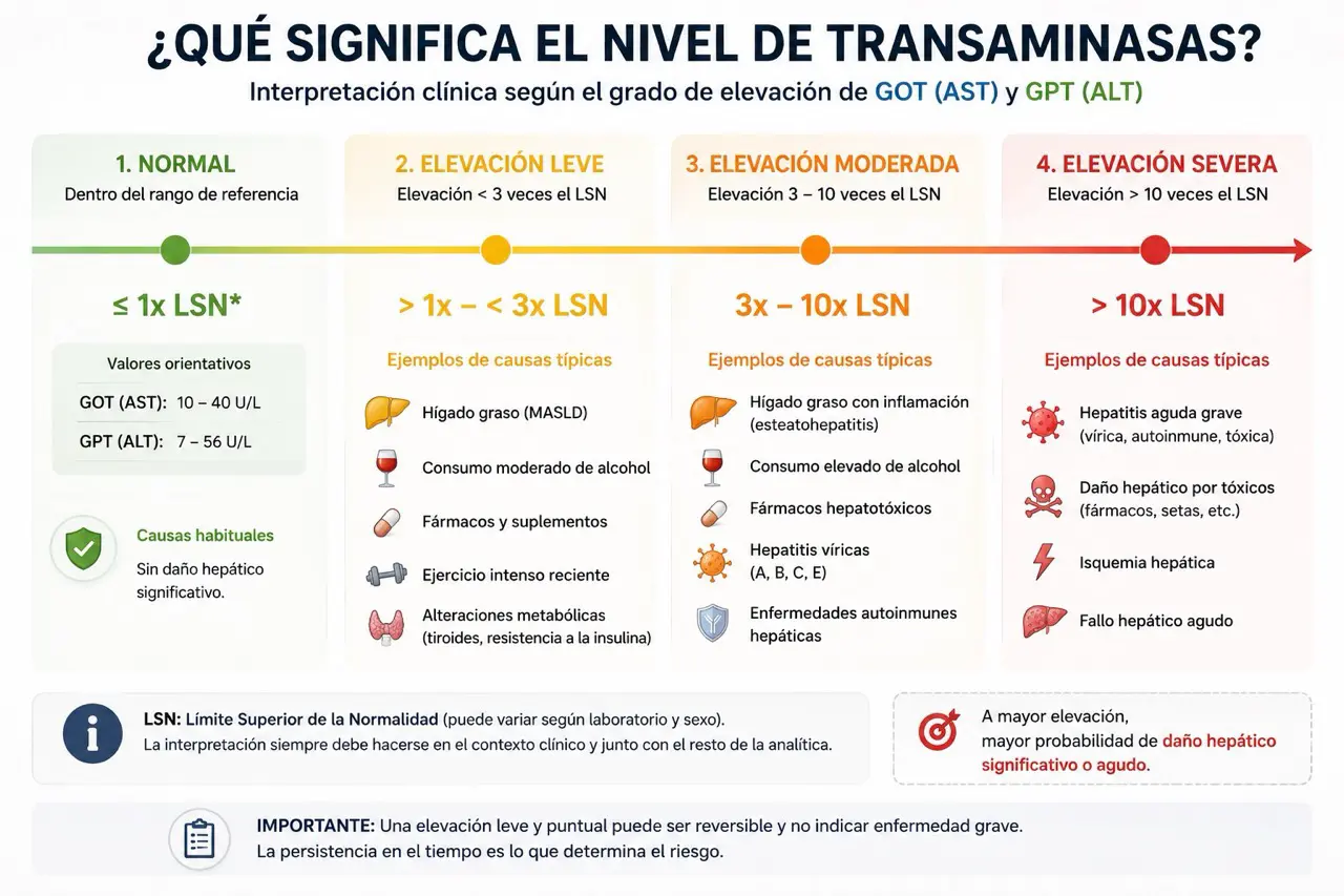Escala horizontal para interpretar valores normales y elevación de transaminasas