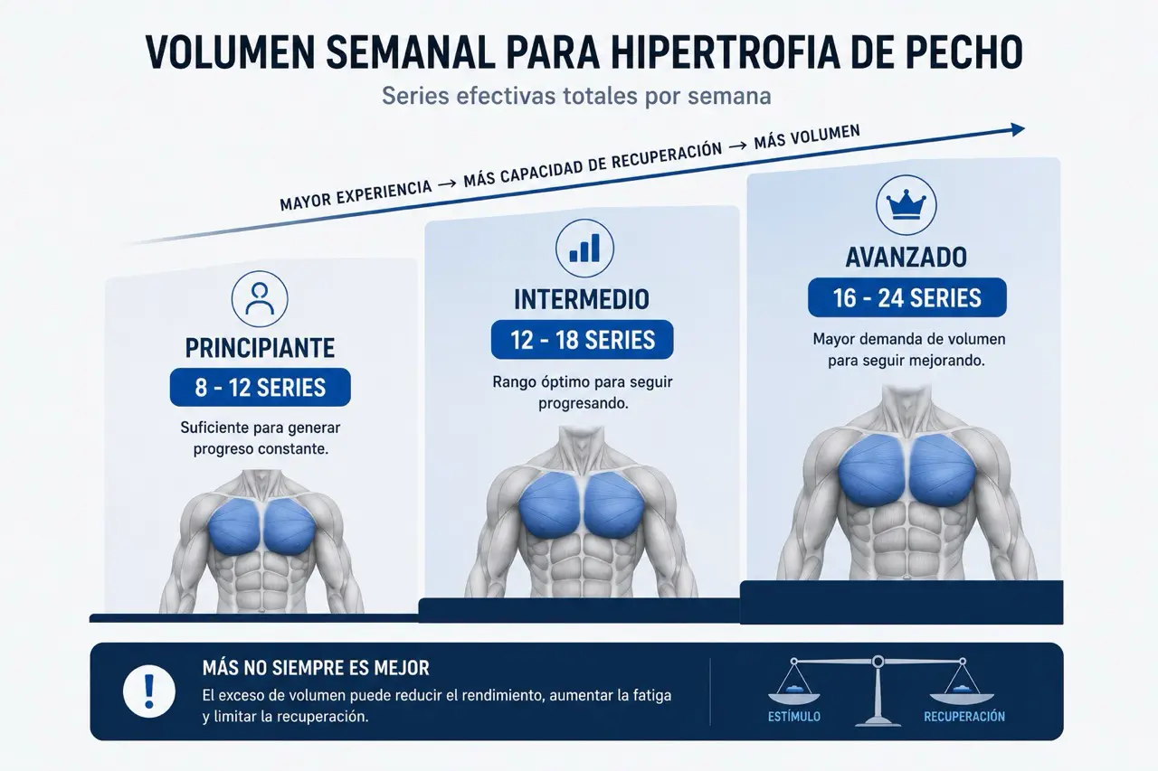 Escala progresiva de volumen semanal de pecho para hipertrofia con principiantes, intermedios y avanzados y rangos orientativos de series efectivas