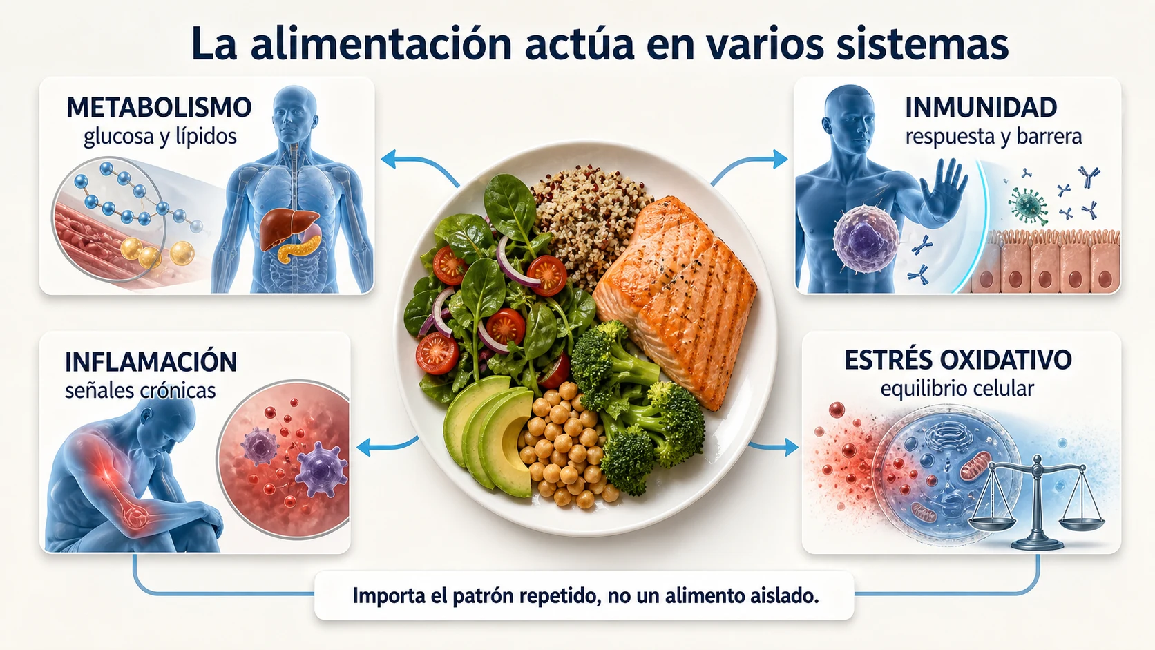 Efectos de la alimentación sobre metabolismo inmunidad inflamación y estrés oxidativo