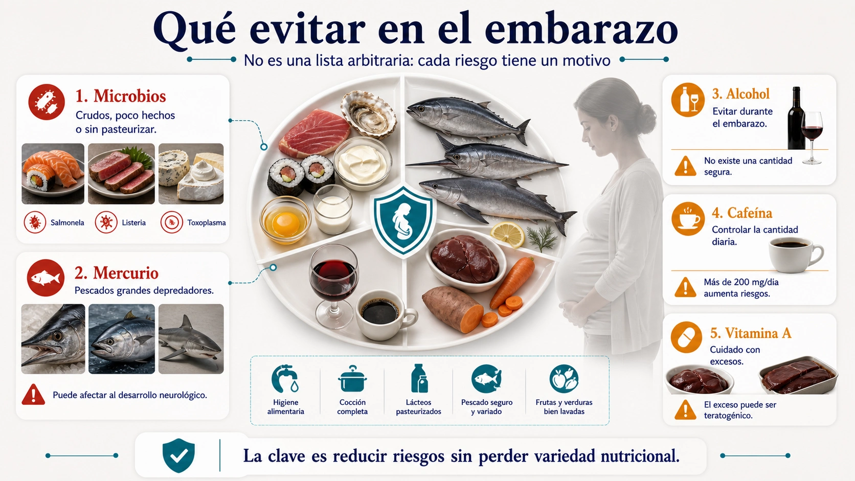 Infografía de alimentos a evitar en el embarazo por microbios mercurio alcohol cafeína y vitamina A
