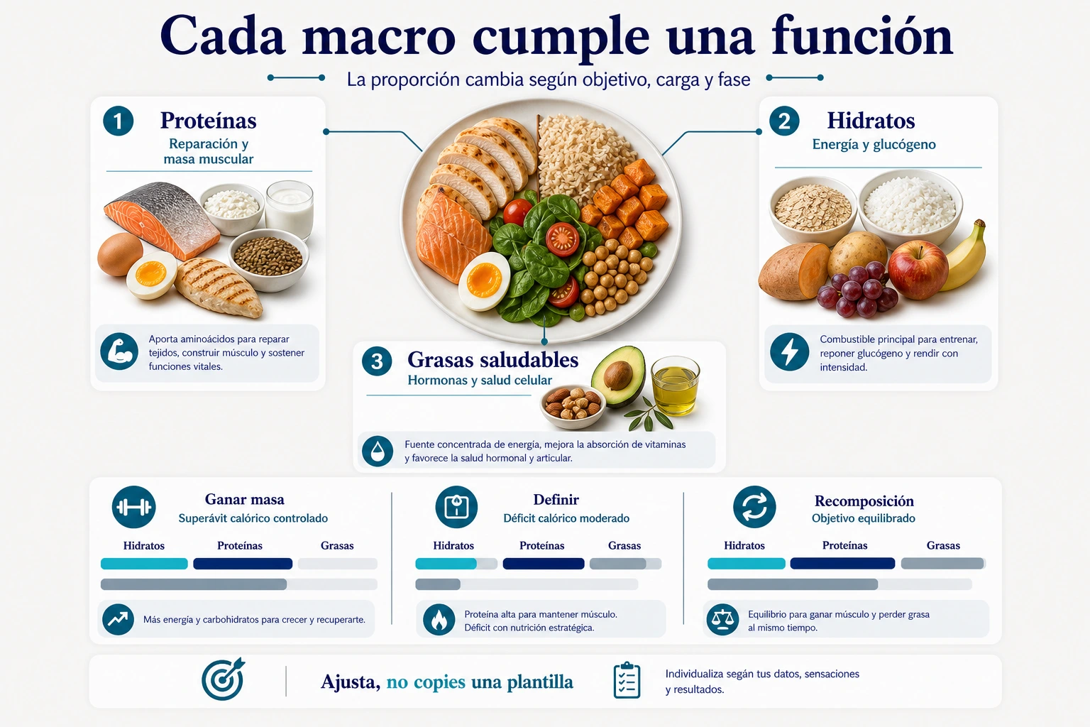 Distribución de macronutrientes en dieta fitness con proteínas hidratos de carbono y grasas saludables según función y objetivo