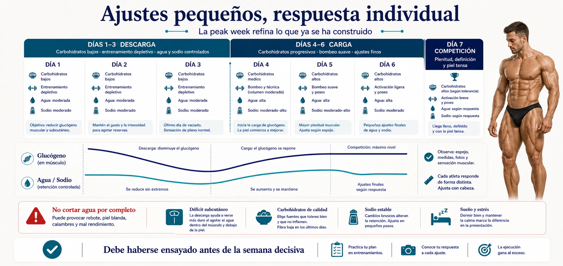Timeline de peak week con fase de descarga carga de glucógeno ajustes de agua sodio entrenamiento y competición