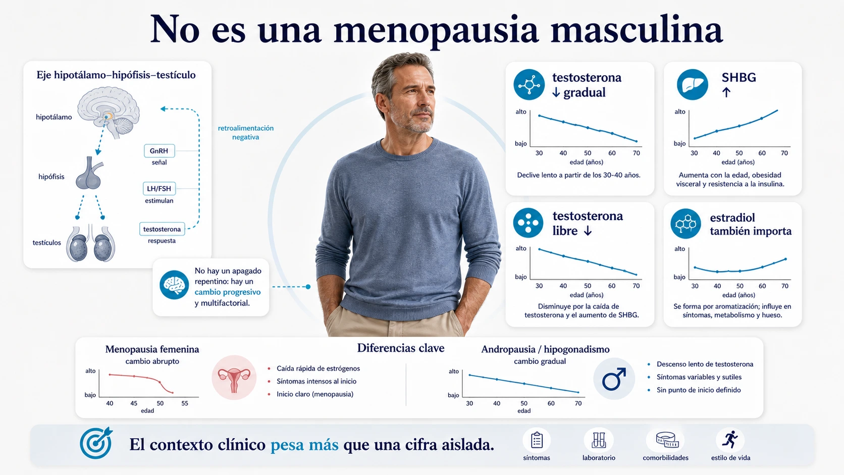Explicacion de andropausia como descenso gradual de testosterona cambios en SHBG testosterona libre y estradiol