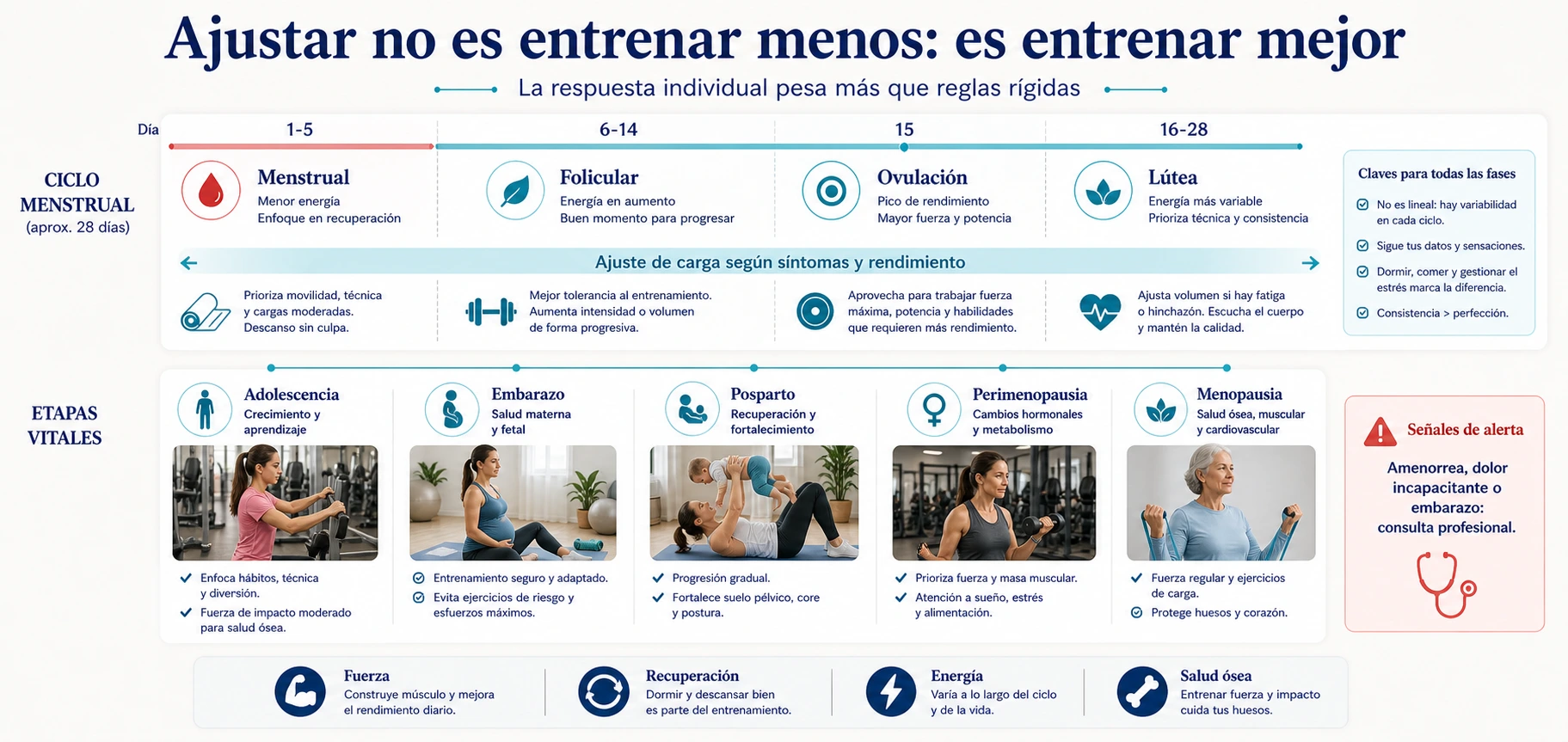Timeline del ciclo menstrual y etapas vitales de la mujer con ajuste de carga fuerza recuperación energía y señales de alerta