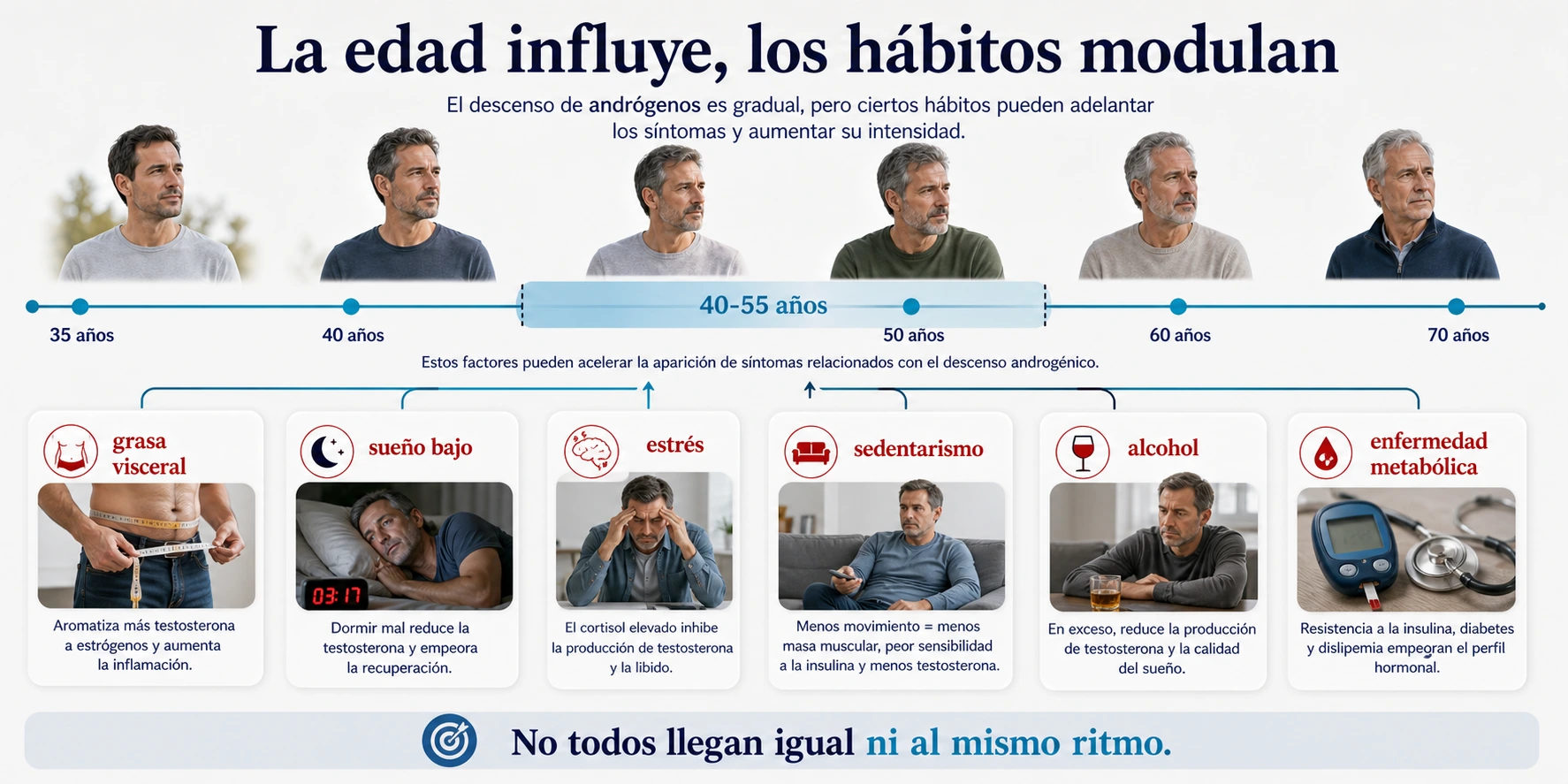 Linea temporal de edad de la andropausia y factores que pueden adelantar sintomas como grasa visceral sueno bajo estres sedentarismo alcohol y enfermedad metabolica