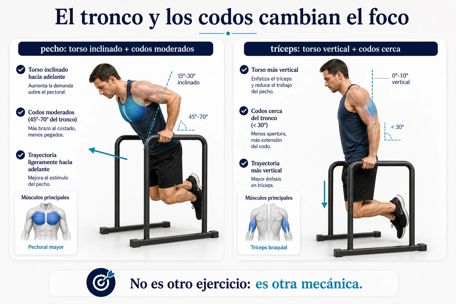 Comparativa biomecanica de fondos en paralelas con enfoque pecho y enfoque triceps segun tronco y codos