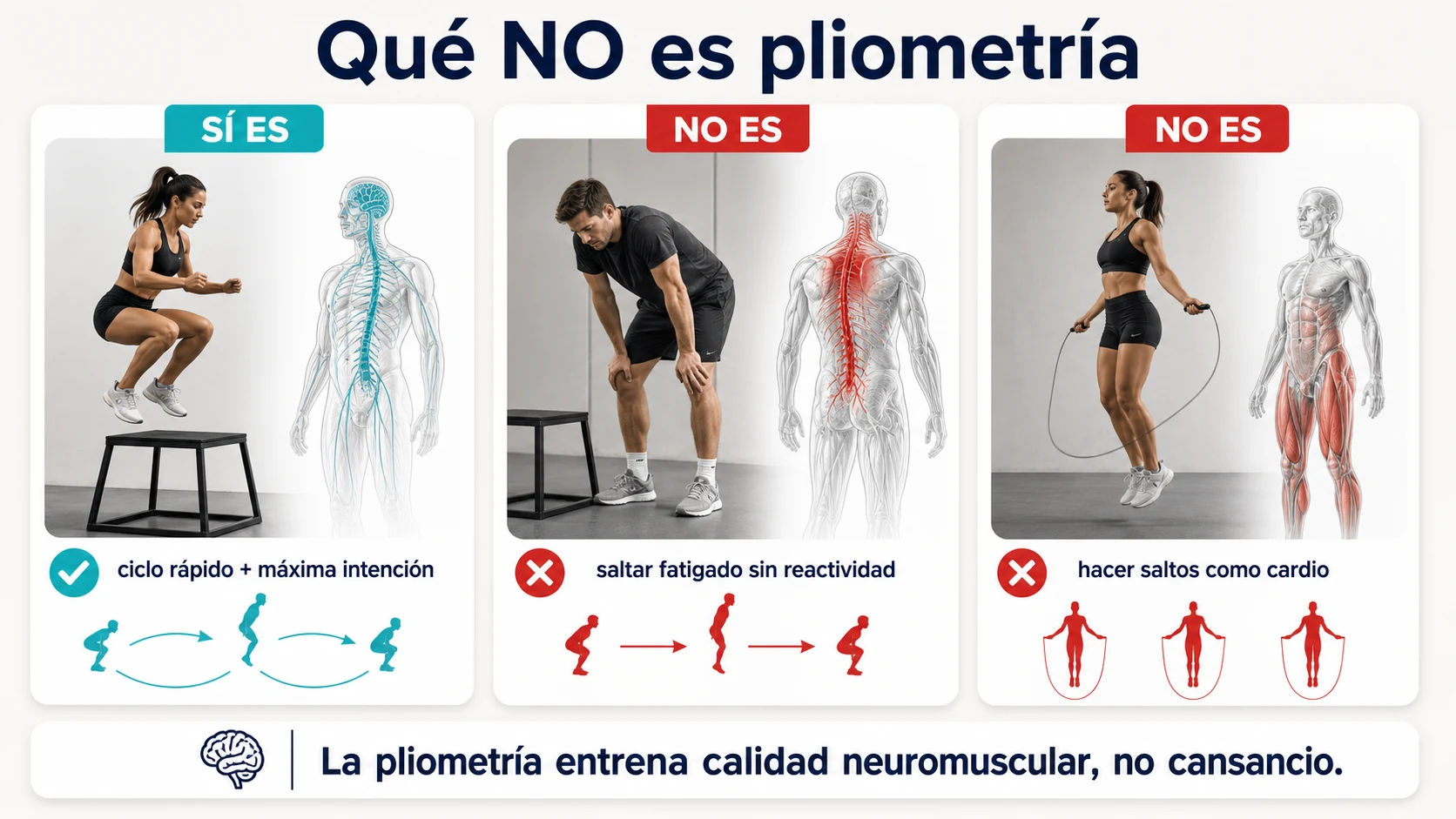 Comparación entre pliometría reactiva y saltos con fatiga o como cardio