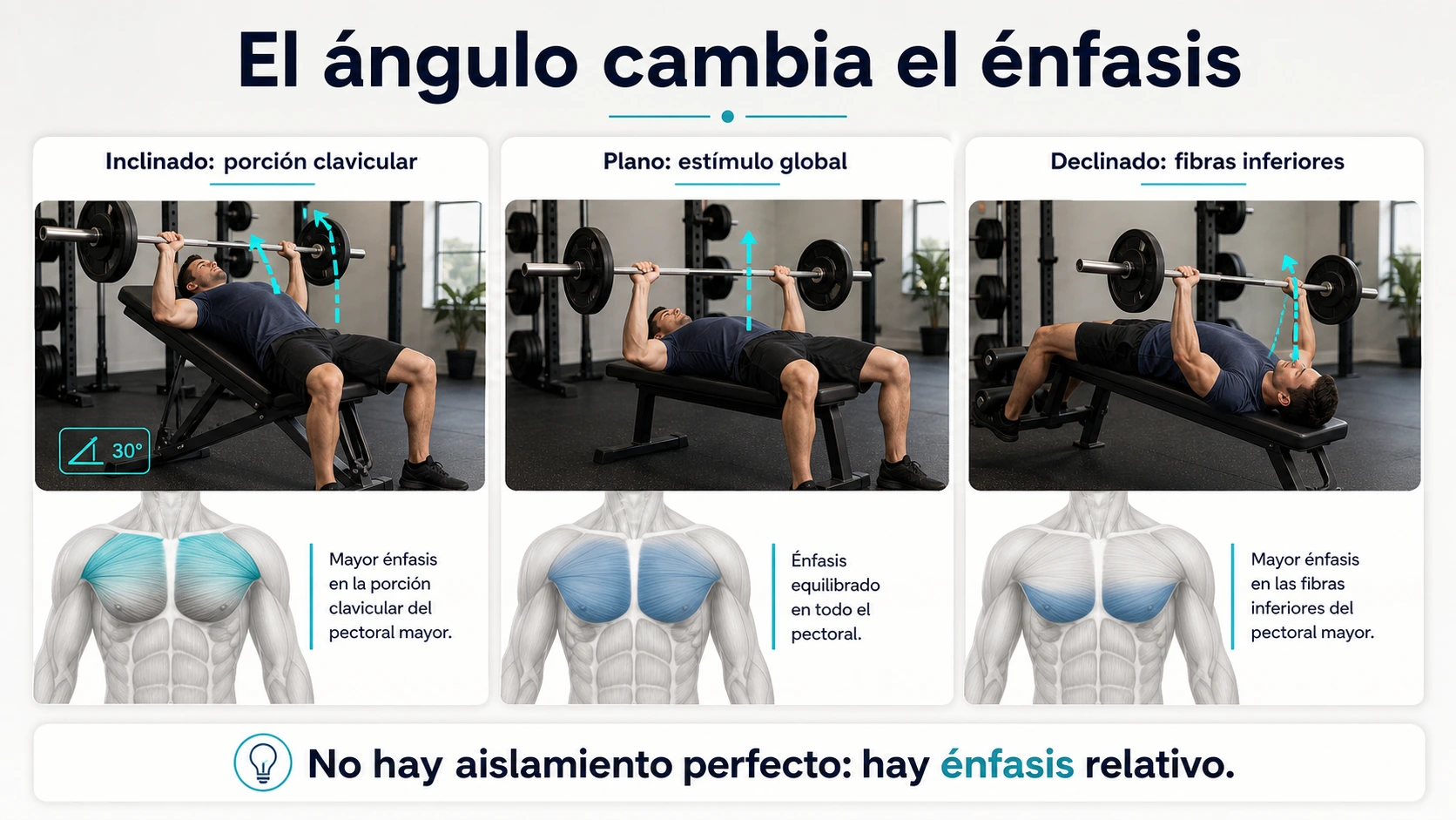 Comparativa de press inclinado plano y declinado para modificar el enfasis de las fibras del pecho