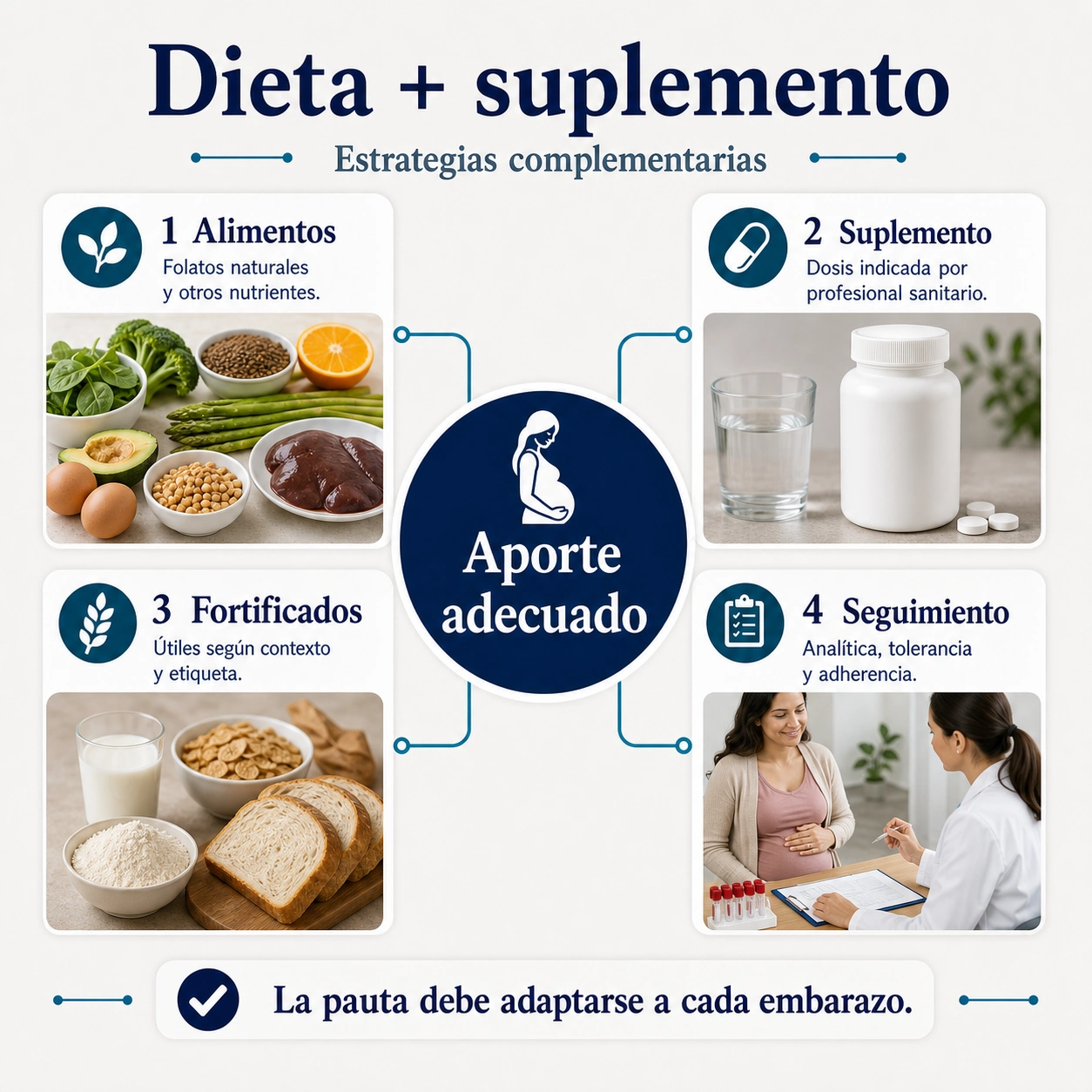 Mapa de dieta y suplemento de ácido fólico con alimentos fortificados pauta profesional y seguimiento
