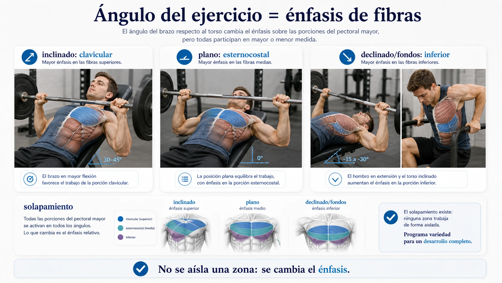 Angulos de ejercicios de pectoral con press inclinado press plano y fondos para enfatizar fibras claviculares medias e inferiores