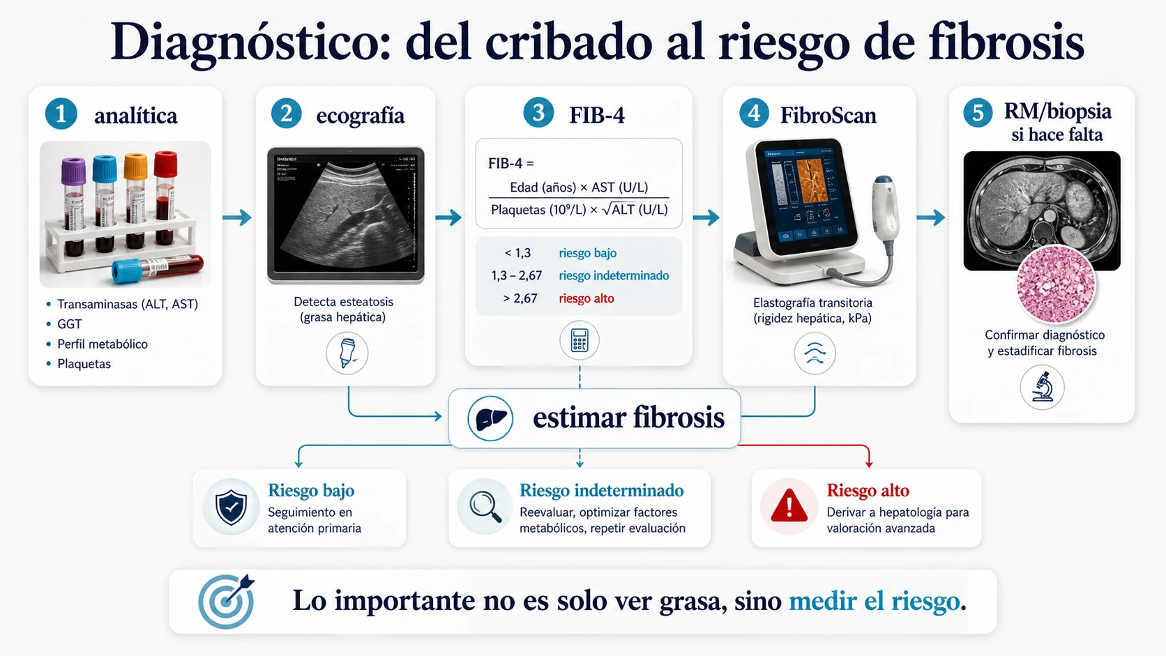 Ruta diagnostica del higado graso con analitica ecografia FIB-4 FibroScan resonancia y biopsia para estimar fibrosis