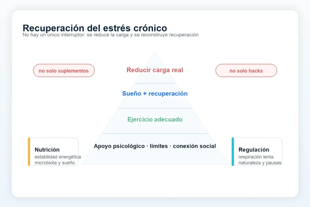 Cómo combatir el estrés crónico: tratamiento basado en evidencia