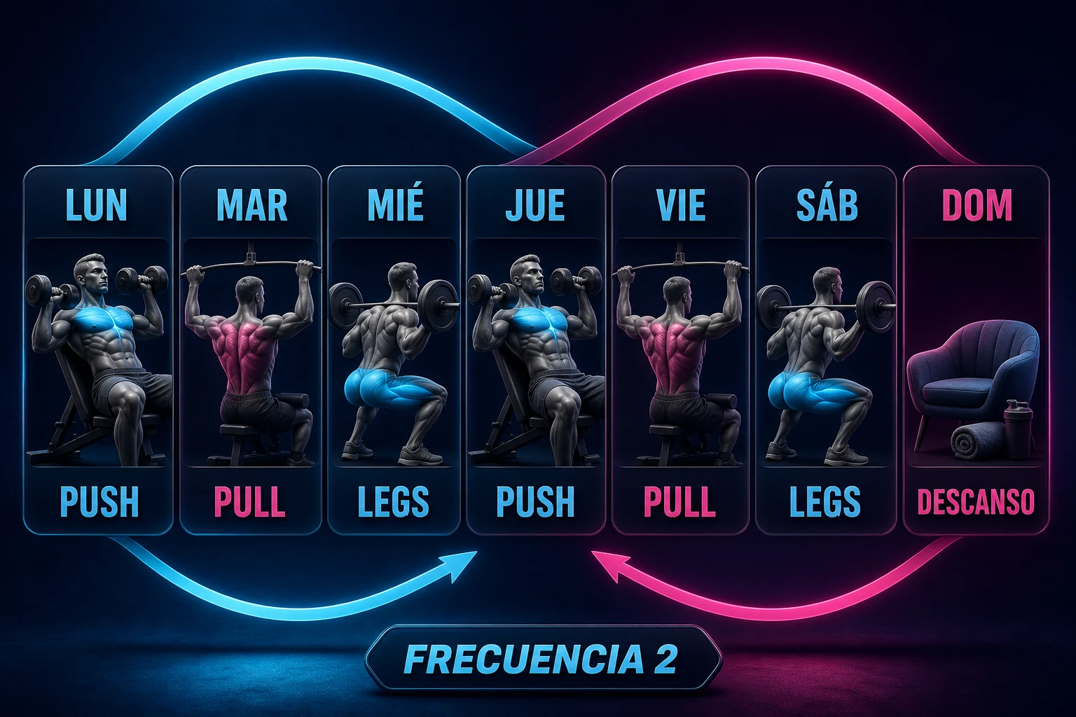 Distribución semanal Push Pull Legs de seis días con frecuencia dos