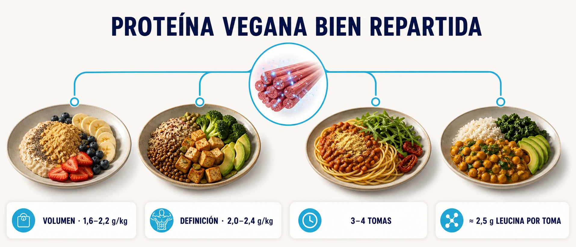Distribución diaria de proteína vegana con rangos para volumen y definición