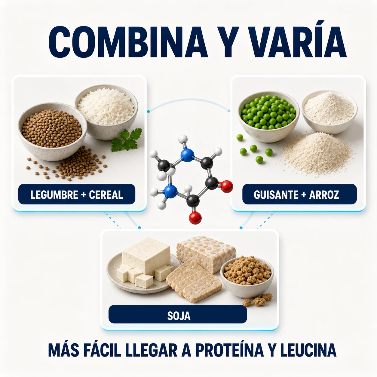 Combinaciones de legumbres, cereales, guisante, arroz y soja para una dieta vegana