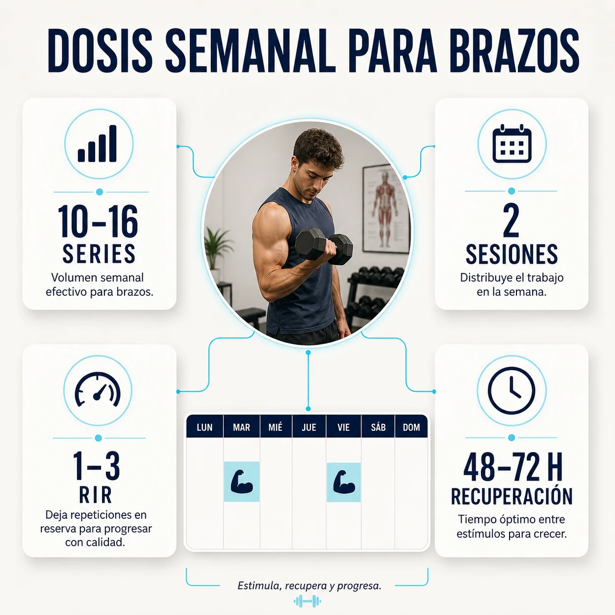 Series, frecuencia, RIR y recuperación para entrenar bíceps y tríceps