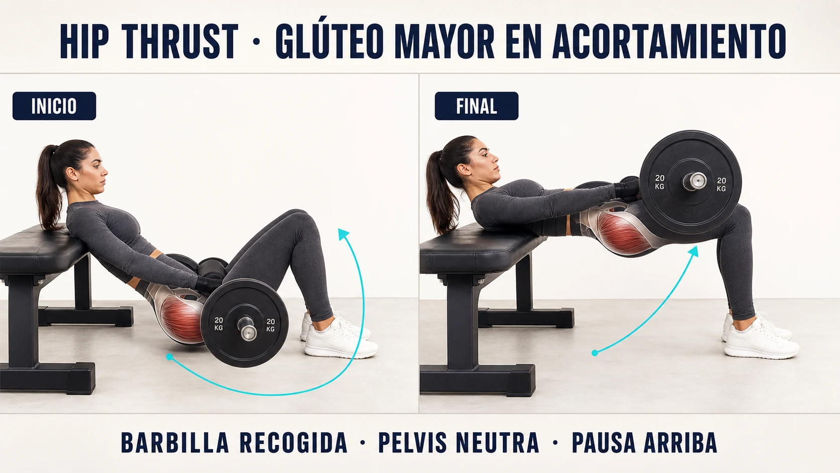 Técnica del hip thrust para hipertrofia del glúteo mayor