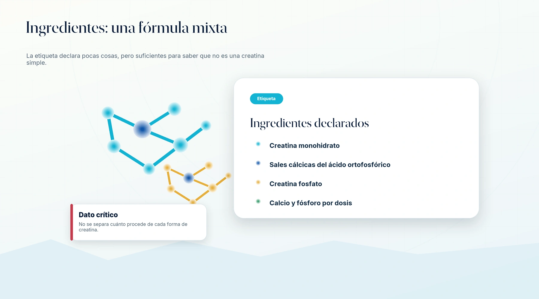 Infografía premium sobre los ingredientes de la creatina de Mercadona: monohidrato, creatina fosfato, calcio y fósforo.
