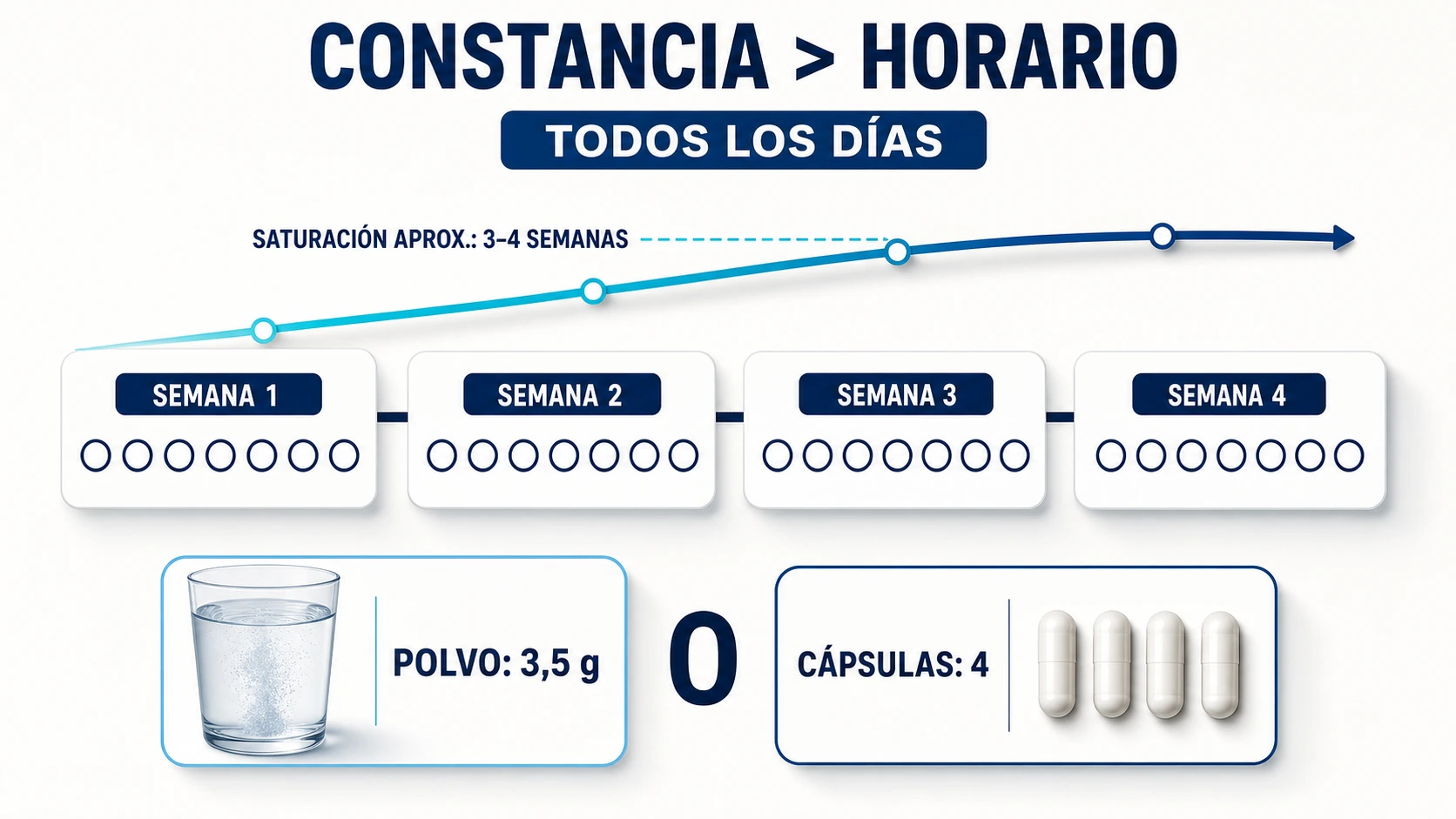 Pauta diaria de creatina en polvo o cápsulas y saturación en tres o cuatro semanas