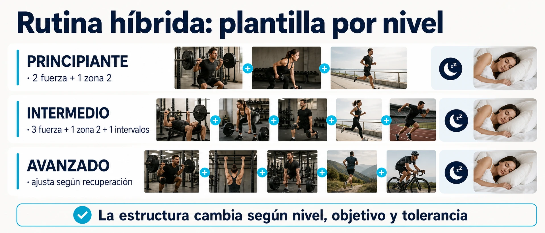 Organización semanal de fuerza, cardio de zona 2, intervalos y recuperación