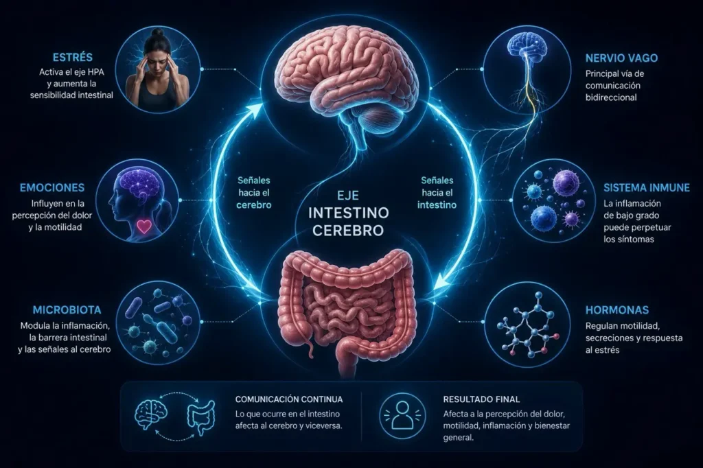 Causas del SII el eje intestino-cerebro