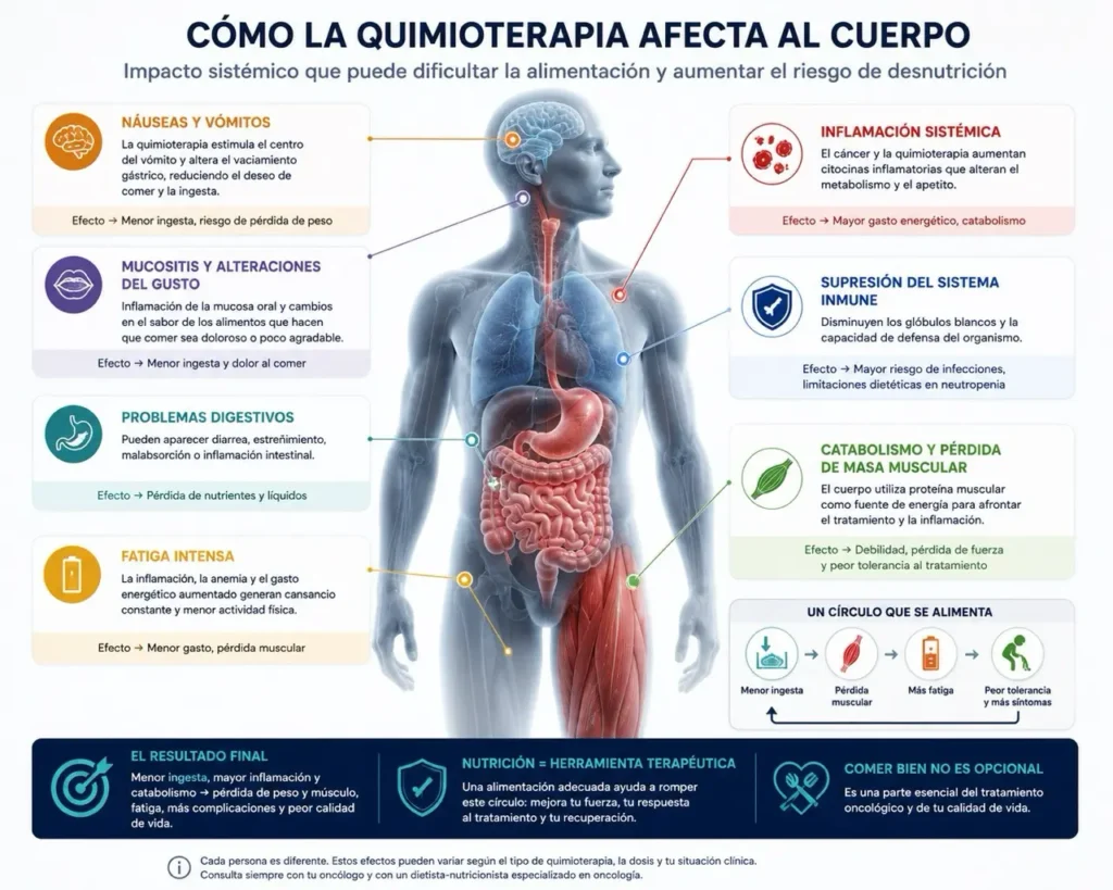 Cómo afecta la quimioterapia al metabolismo y al apetito