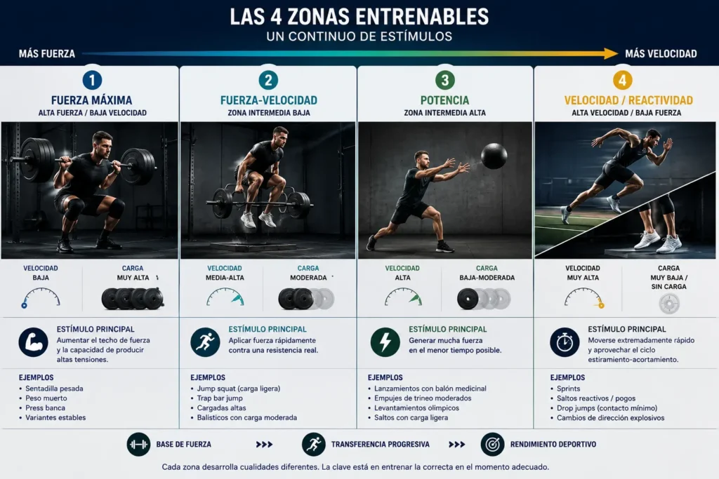 construir curva fuerza velocidad