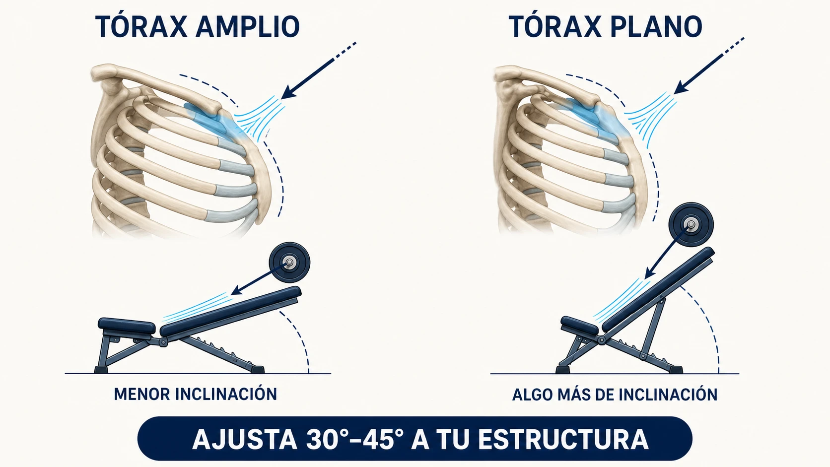 Ajuste del ángulo del press inclinado según la forma de la caja torácica