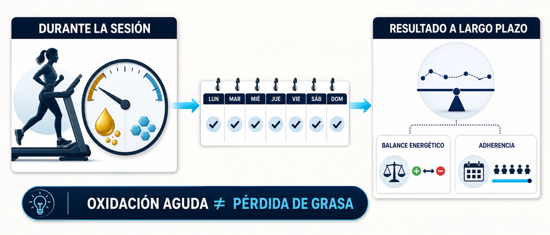 Diferencia entre oxidación de grasa durante una sesión y pérdida de grasa corporal a largo plazo