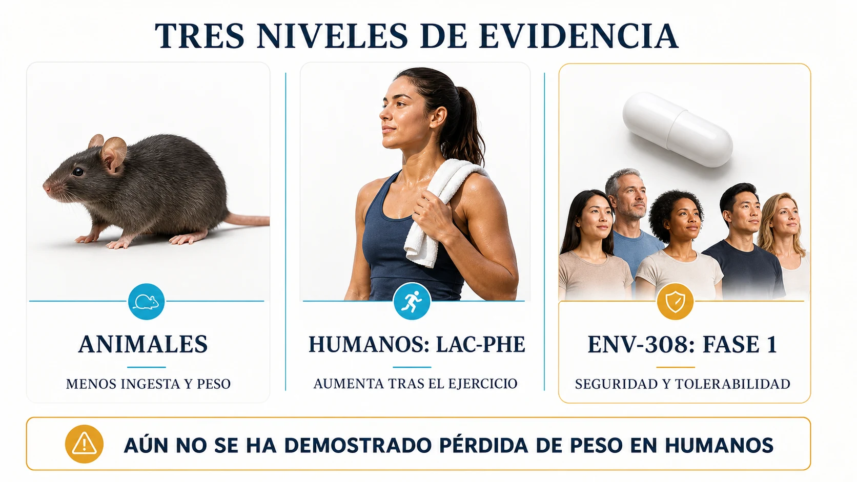 Tres niveles de evidencia sobre Lac-Phe y ENV-308 en animales y seres humanos