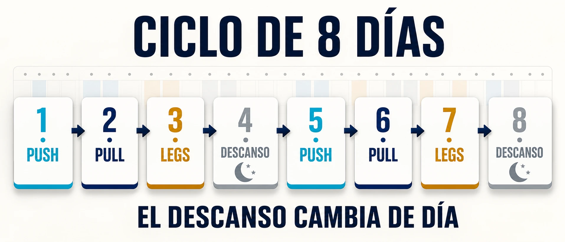 Ciclo rotativo de ocho días de Push Pull Legs con descanso cada cuarto día