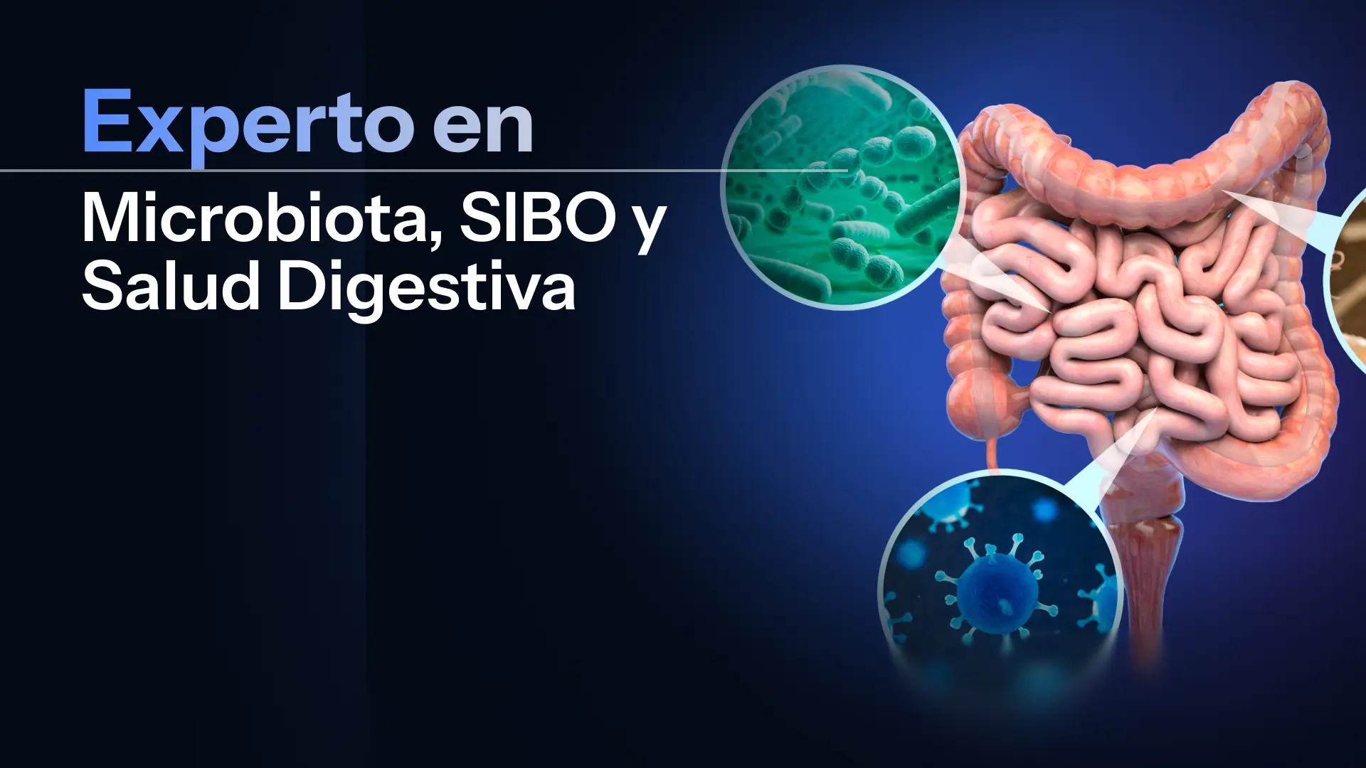 Experto Universitario en Microbiota, SIBO y Salud Digestiva