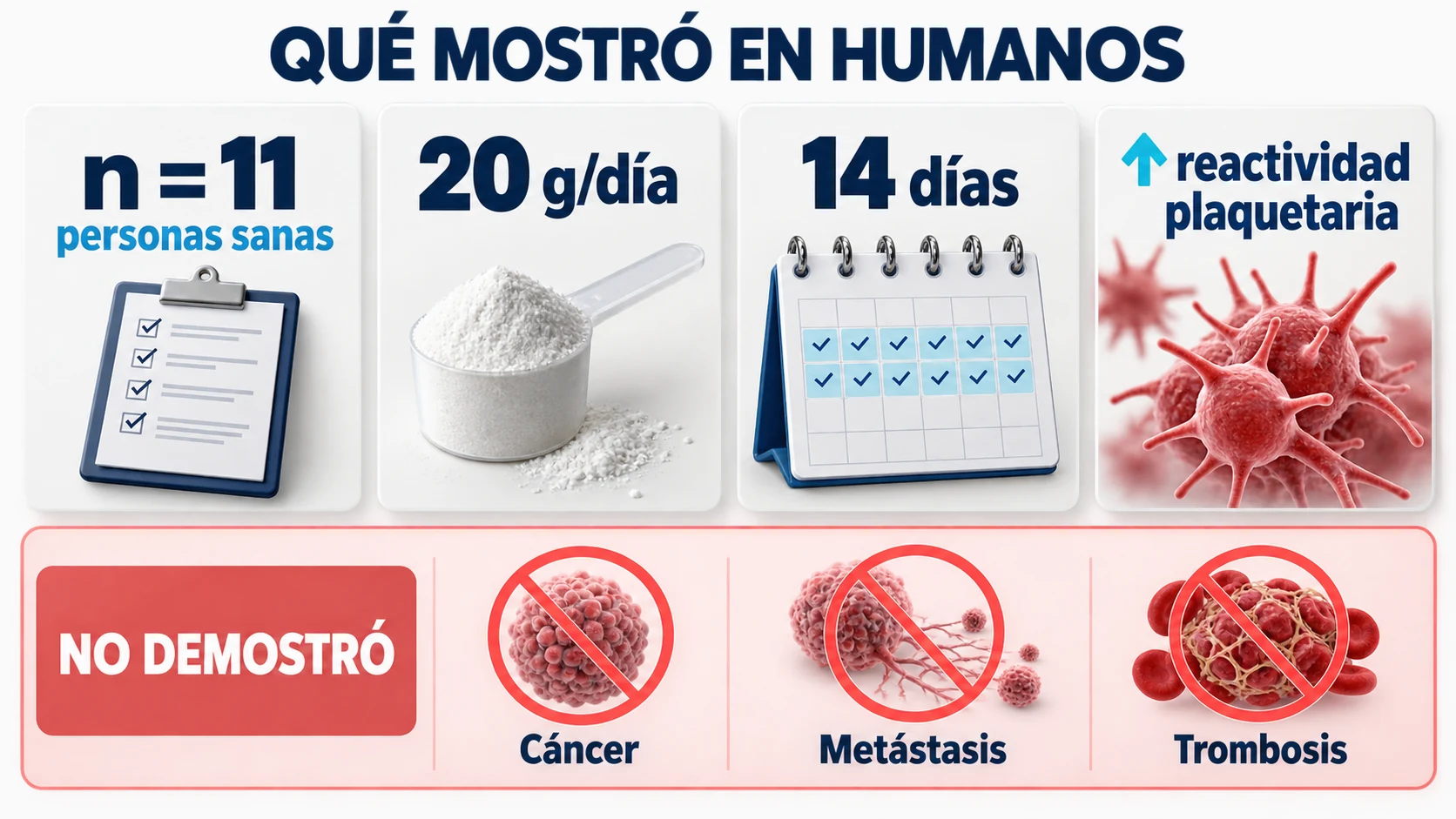 Resumen del estudio en 11 personas sanas con 20 gramos de creatina durante 14 días y aumento de reactividad plaquetaria