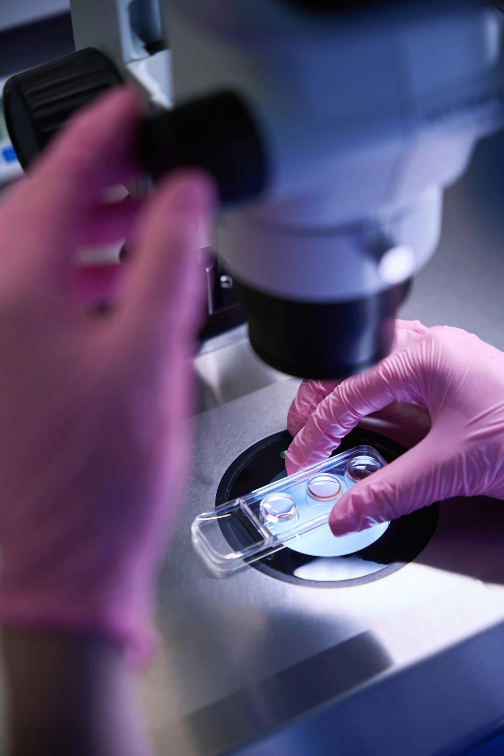 Especialízate en salud hormonal y fertilidad de hombres y mujeres con criterio clínico