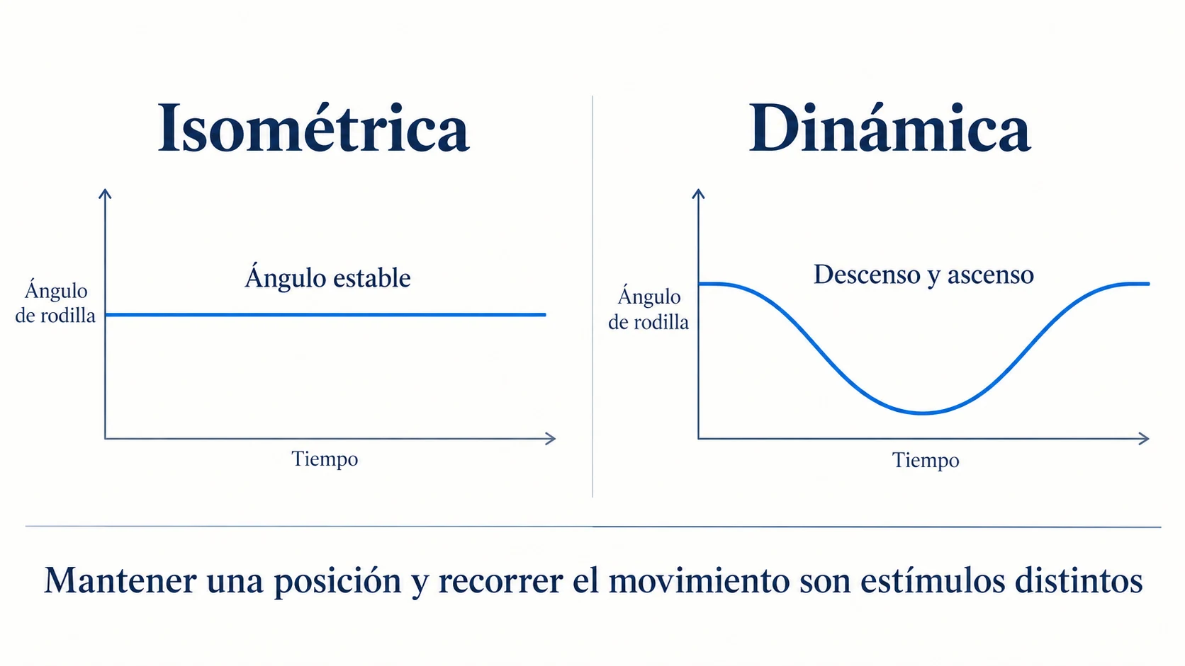 Comparación del ángulo de rodilla constante en sentadilla isométrica y cambiante en sentadilla dinámica