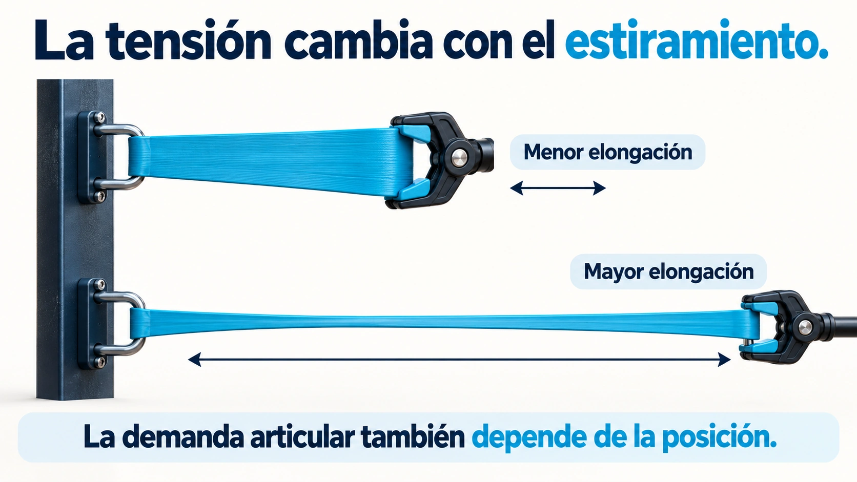 La tensión de una banda aumenta al estirarla; la demanda articular también depende de la dirección de la fuerza y de la posición.