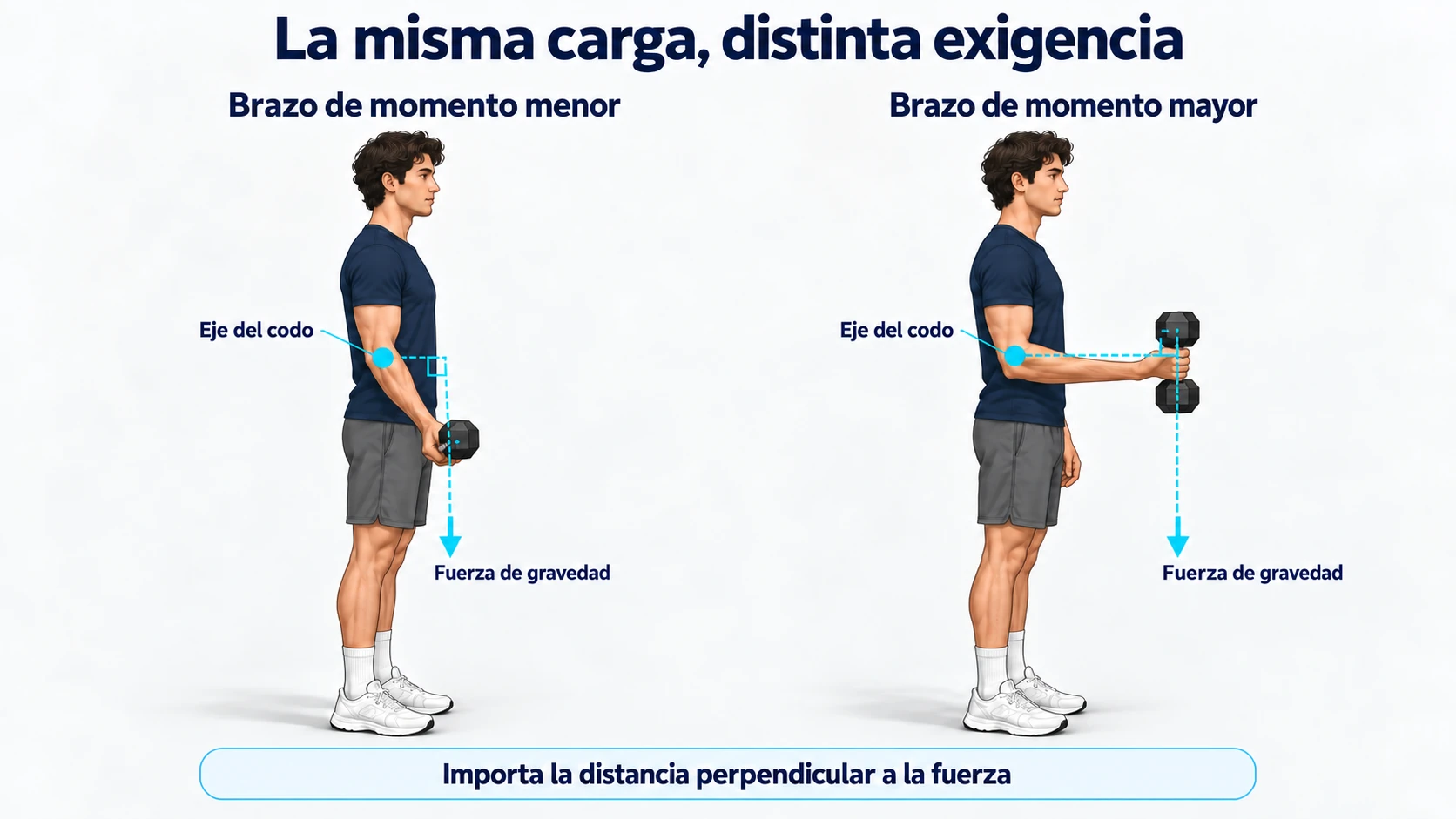 El brazo de momento externo es una distancia perpendicular, no la longitud del antebrazo.