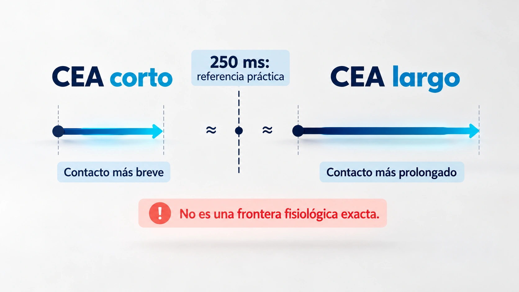 Los ciclos cortos y largos se diferencian por su duración; los 250 milisegundos son una referencia práctica y no una frontera fisiológica exacta.