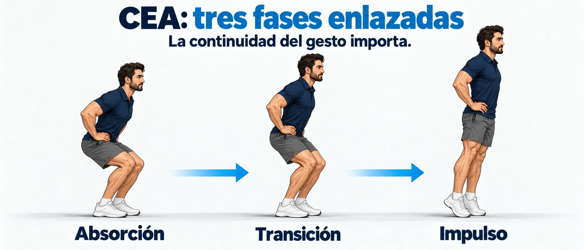 Una secuencia de salto enlaza absorción, transición e impulso de forma continua.